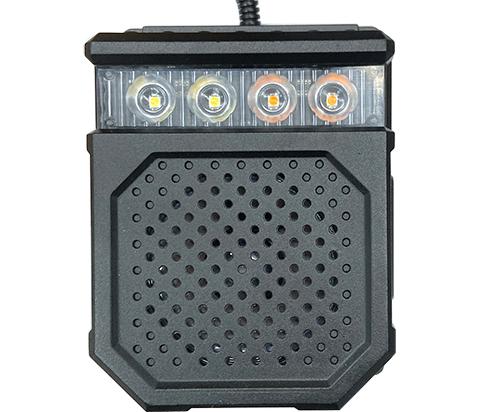 In-Vehicle Audio-Visual Alarm System